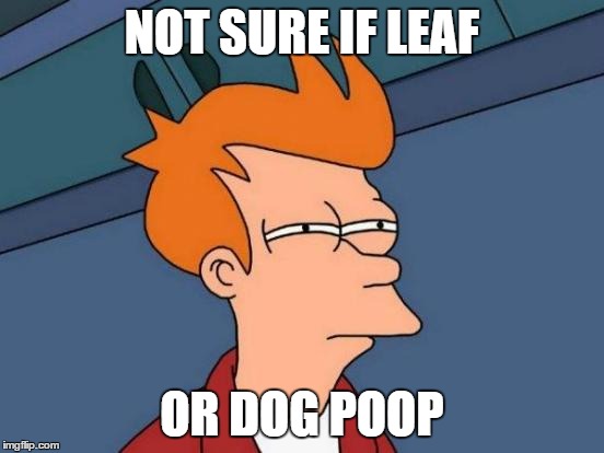 Futurama Fry Meme | NOT SURE IF LEAF OR DOG POOP | image tagged in memes,futurama fry | made w/ Imgflip meme maker