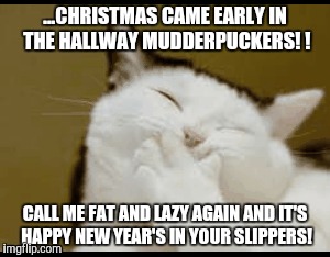 ...CHRISTMAS CAME EARLY IN THE HALLWAY MUDDERPUCKERS! ! CALL ME FAT AND LAZY AGAIN AND IT'S HAPPY NEW YEAR'S IN YOUR SLIPPERS! | image tagged in merry christmas,funny cats,slippers,cats,pooping | made w/ Imgflip meme maker
