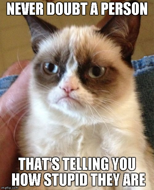 Grumpy Cat Meme | NEVER DOUBT A PERSON THAT'S TELLING YOU HOW STUPID THEY ARE | image tagged in memes,grumpy cat | made w/ Imgflip meme maker