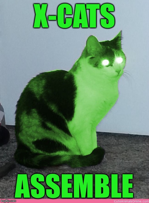 Hypno Raycat | X-CATS ASSEMBLE | image tagged in hypno raycat | made w/ Imgflip meme maker