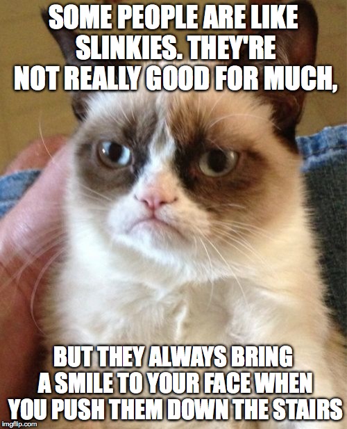 Grumpy Cat | SOME PEOPLE ARE LIKE SLINKIES. THEY'RE NOT REALLY GOOD FOR MUCH, BUT THEY ALWAYS BRING A SMILE TO YOUR FACE WHEN YOU PUSH THEM DOWN THE STAI | image tagged in memes,grumpy cat | made w/ Imgflip meme maker