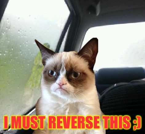 Introspective Grumpy Cat | I MUST REVERSE THIS ;) | image tagged in introspective grumpy cat | made w/ Imgflip meme maker