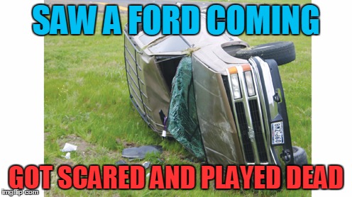 SAW A FORD COMING GOT SCARED AND PLAYED DEAD | image tagged in saw a ford coming | made w/ Imgflip meme maker