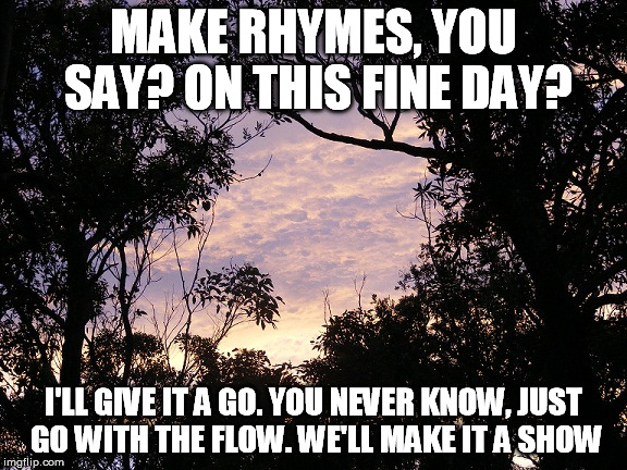 MAKE RHYMES, YOU SAY? ON THIS FINE DAY? I'LL GIVE IT A GO. YOU NEVER KNOW, JUST GO WITH THE FLOW. WE'LL MAKE IT A SHOW | made w/ Imgflip meme maker