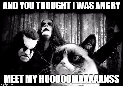 Angry black metal cat | AND YOU THOUGHT I WAS ANGRY MEET MY HOOOOOMAAAAANSS | image tagged in memes,black metal cat,funny,grumpy cat | made w/ Imgflip meme maker