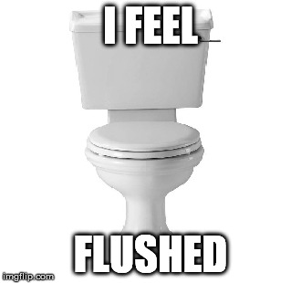 I FEEL FLUSHED | made w/ Imgflip meme maker
