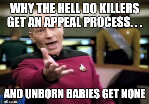 Picard Wtf | WHY THE HELL DO KILLERS GET AN APPEAL PROCESS. . . AND UNBORN BABIES GET NONE | image tagged in memes,picard wtf | made w/ Imgflip meme maker