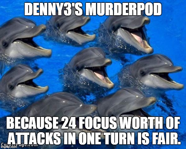 dolphins | DENNY3'S MURDERPOD BECAUSE 24 FOCUS WORTH OF ATTACKS IN ONE TURN IS FAIR. | image tagged in dolphins | made w/ Imgflip meme maker