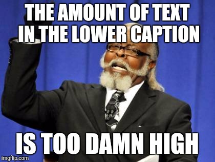 Too Damn High Meme | THE AMOUNT OF TEXT IN THE LOWER CAPTION IS TOO DAMN HIGH | image tagged in memes,too damn high | made w/ Imgflip meme maker