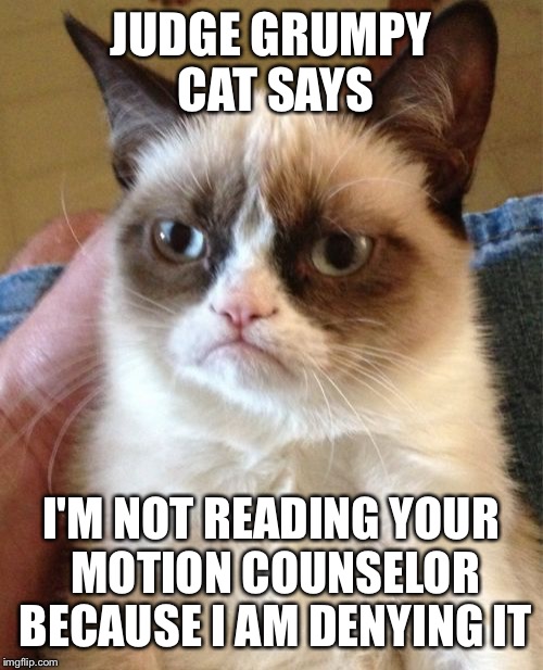 Grumpy Cat | JUDGE GRUMPY CAT SAYS I'M NOT READING YOUR MOTION COUNSELOR BECAUSE I AM DENYING IT | image tagged in memes,grumpy cat | made w/ Imgflip meme maker