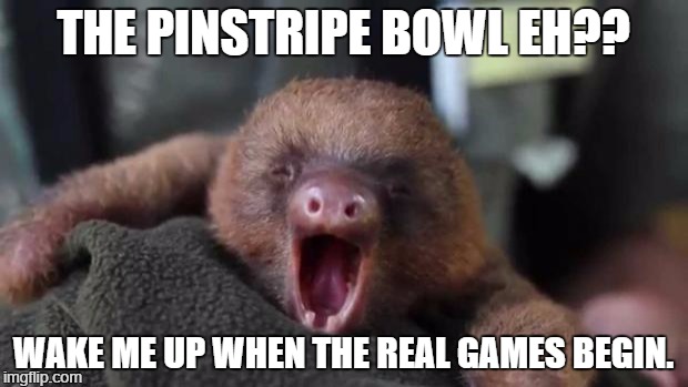 Yawning Sloth | THE PINSTRIPE BOWL EH?? WAKE ME UP WHEN THE REAL GAMES BEGIN. | image tagged in yawning sloth | made w/ Imgflip meme maker