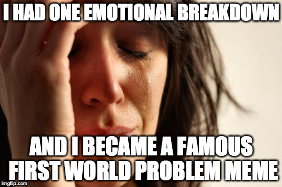 First World Problems | I HAD ONE EMOTIONAL BREAKDOWN AND I BECAME A FAMOUS FIRST WORLD PROBLEM MEME | image tagged in memes,first world problems | made w/ Imgflip meme maker