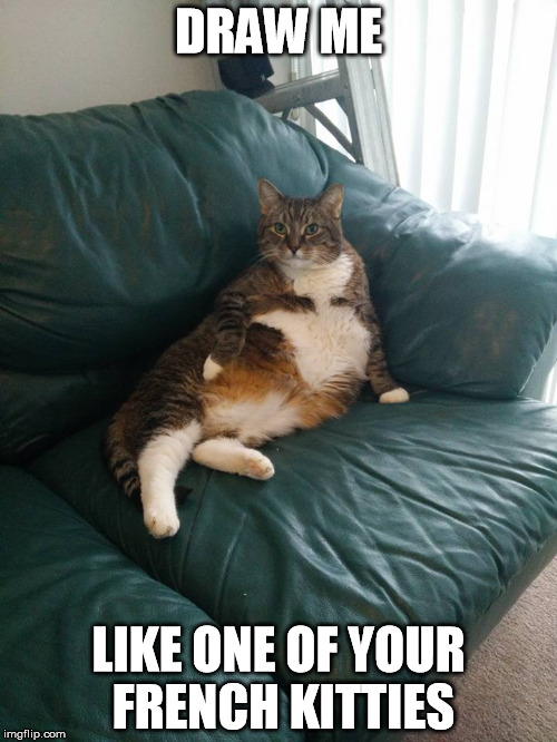 Draw me like one of your French kitties | DRAW ME LIKE ONE OF YOUR FRENCH KITTIES | image tagged in draw me like one of your french girls | made w/ Imgflip meme maker