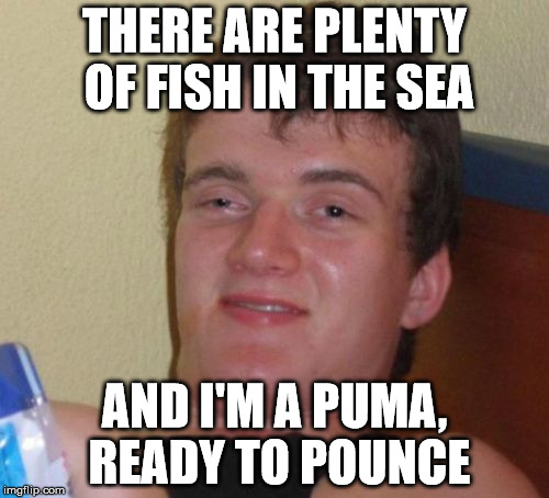10 Guy Meme | THERE ARE PLENTY OF FISH IN THE SEA AND I'M A PUMA, READY TO POUNCE | image tagged in memes,10 guy | made w/ Imgflip meme maker