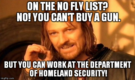 One Does Not Simply Meme | ON THE NO FLY LIST? NO! YOU CAN'T BUY A GUN. BUT YOU CAN WORK AT THE DEPARTMENT OF HOMELAND SECURITY! | image tagged in memes,one does not simply | made w/ Imgflip meme maker