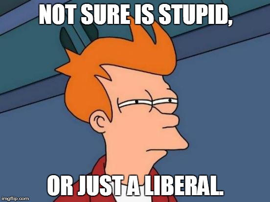 Futurama Fry | NOT SURE IS STUPID, OR JUST A LIBERAL. | image tagged in memes,futurama fry | made w/ Imgflip meme maker