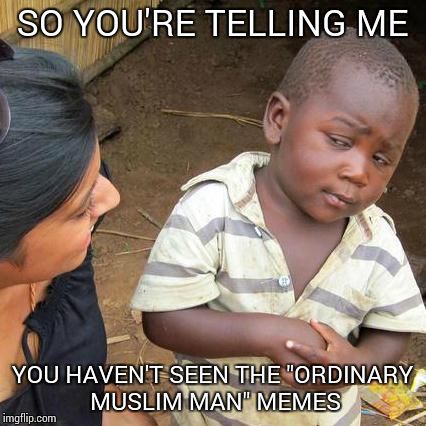 Third World Skeptical Kid Meme | SO YOU'RE TELLING ME YOU HAVEN'T SEEN THE "ORDINARY MUSLIM MAN" MEMES | image tagged in memes,third world skeptical kid | made w/ Imgflip meme maker