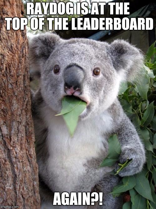 Surprised Koala | RAYDOG IS AT THE TOP OF THE LEADERBOARD AGAIN?! | image tagged in memes,surprised koala | made w/ Imgflip meme maker