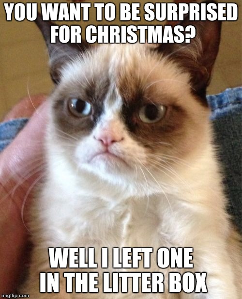 Grumpy Cat | YOU WANT TO BE SURPRISED FOR CHRISTMAS? WELL I LEFT ONE IN THE LITTER BOX | image tagged in memes,grumpy cat | made w/ Imgflip meme maker