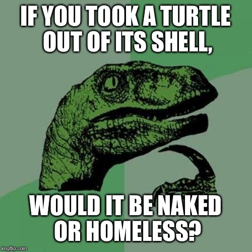 Philosoraptor Meme | IF YOU TOOK A TURTLE OUT OF ITS SHELL, WOULD IT BE NAKED OR HOMELESS? | image tagged in memes,philosoraptor | made w/ Imgflip meme maker
