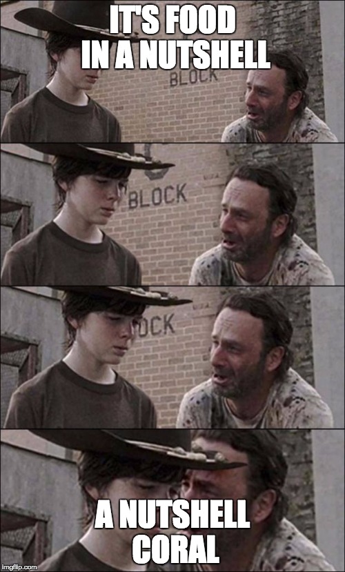 the walking dead coral | IT'S FOOD IN A NUTSHELL A NUTSHELL CORAL | image tagged in the walking dead coral | made w/ Imgflip meme maker