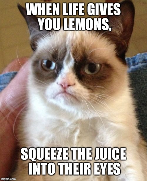 Grumpy Cat | WHEN LIFE GIVES YOU LEMONS, SQUEEZE THE JUICE INTO THEIR EYES | image tagged in memes,grumpy cat | made w/ Imgflip meme maker
