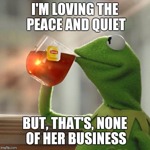 But That's None Of My Business Meme | I'M LOVING THE PEACE AND QUIET BUT, THAT'S, NONE OF HER BUSINESS | image tagged in memes,but thats none of my business,kermit the frog | made w/ Imgflip meme maker