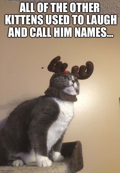 ALL OF THE OTHER KITTENS USED TO LAUGH AND CALL HIM NAMES... | image tagged in mittens | made w/ Imgflip meme maker