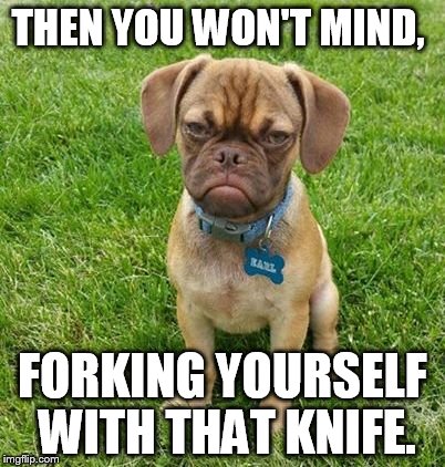 THEN YOU WON'T MIND, FORKING YOURSELF WITH THAT KNIFE. | made w/ Imgflip meme maker