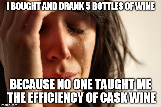 First World Problems Meme | I BOUGHT AND DRANK 5 BOTTLES OF WINE BECAUSE NO ONE TAUGHT ME THE EFFICIENCY OF CASK WINE | image tagged in memes,first world problems | made w/ Imgflip meme maker