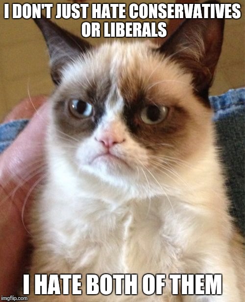 Even grumpy cat knows politics are dumb | I DON'T JUST HATE CONSERVATIVES OR LIBERALS I HATE BOTH OF THEM | image tagged in memes,grumpy cat | made w/ Imgflip meme maker