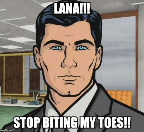 Archer | LANA!!! STOP BITING MY TOES!! | image tagged in memes,archer | made w/ Imgflip meme maker