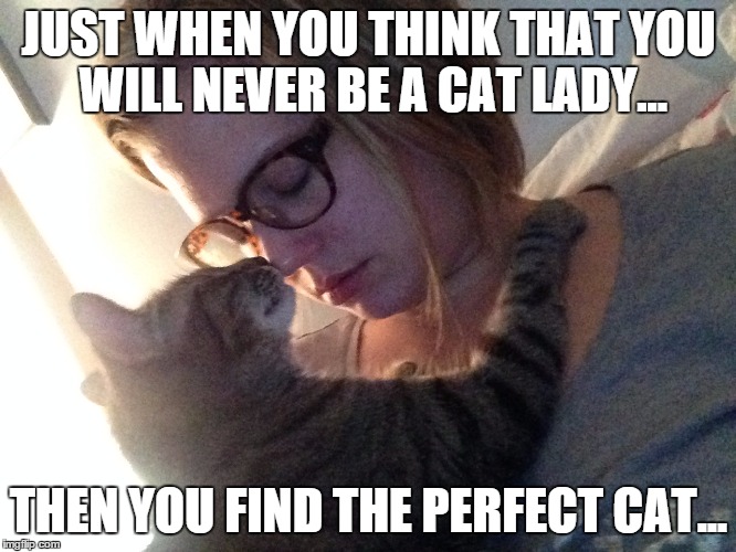 JUST WHEN YOU THINK THAT YOU WILL NEVER BE A CAT LADY... THEN YOU FIND THE PERFECT CAT... | image tagged in relationshipgoals | made w/ Imgflip meme maker