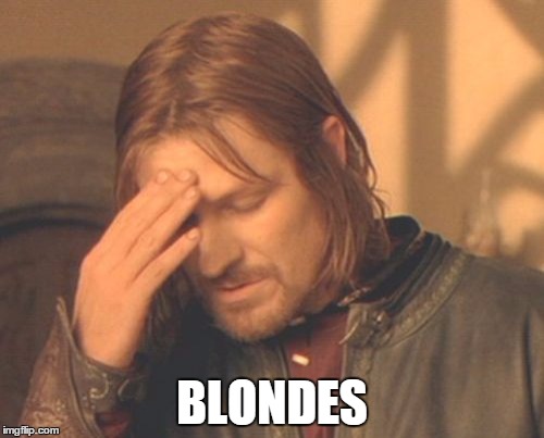 Frustrated Boromir Meme | BLONDES | image tagged in memes,frustrated boromir | made w/ Imgflip meme maker