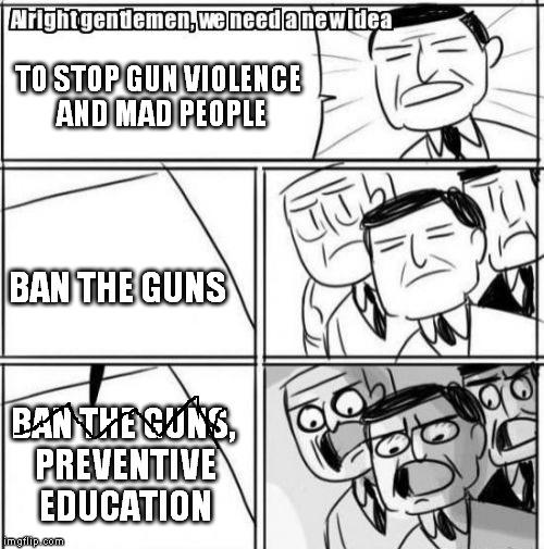 Alright Gentlemen We Need A New Idea | TO STOP GUN VIOLENCE AND MAD PEOPLE BAN THE GUNS BAN THE GUNS, PREVENTIVE EDUCATION | image tagged in memes,alright gentlemen we need a new idea | made w/ Imgflip meme maker