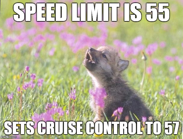 Baby Insanity Wolf Meme | SPEED LIMIT IS 55 SETS CRUISE CONTROL TO 57 | image tagged in memes,baby insanity wolf,AdviceAnimals | made w/ Imgflip meme maker