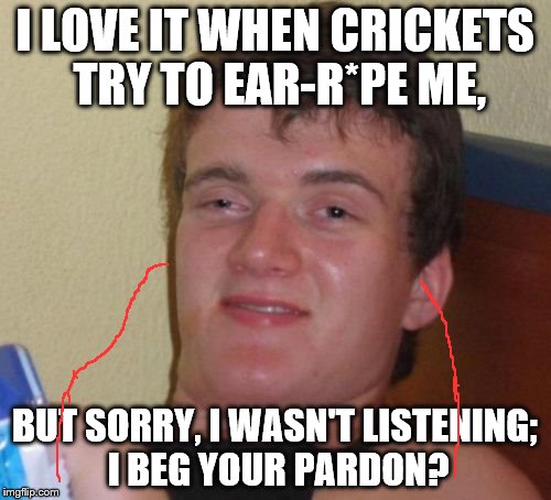 10 Guy Meme | I LOVE IT WHEN CRICKETS TRY TO EAR-R*PE ME, BUT SORRY, I WASN'T LISTENING; I BEG YOUR PARDON? | image tagged in memes,10 guy | made w/ Imgflip meme maker