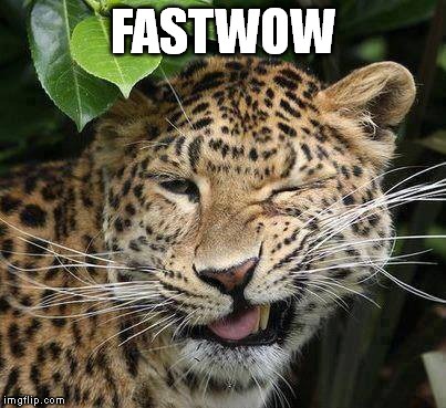 Big Cat Wink | FASTWOW | image tagged in big cat wink | made w/ Imgflip meme maker