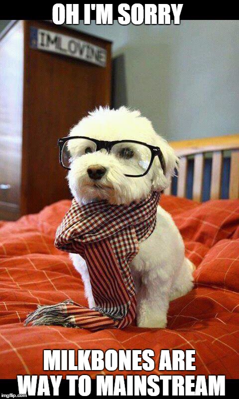 Intelligent Dog | OH I'M SORRY MILKBONES ARE WAY TO MAINSTREAM | image tagged in memes,intelligent dog | made w/ Imgflip meme maker