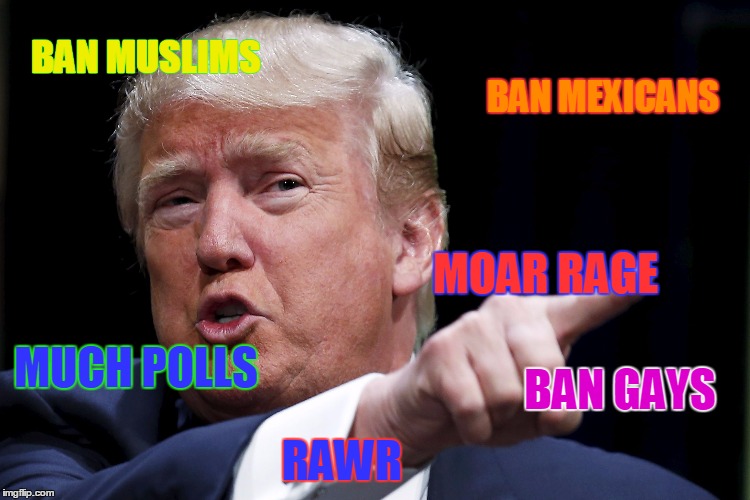 The Donald | BAN MUSLIMS BAN MEXICANS BAN GAYS MOAR RAGE MUCH POLLS RAWR | image tagged in trumpy | made w/ Imgflip meme maker