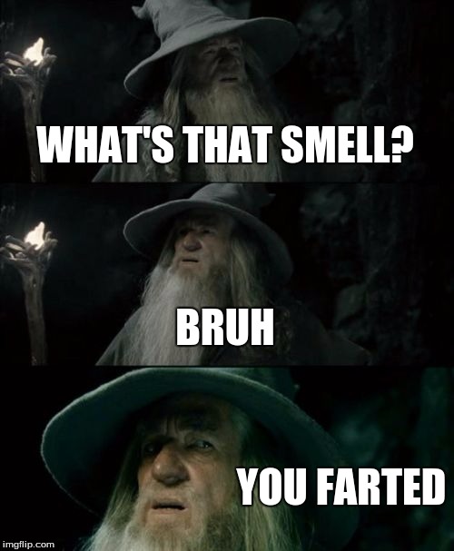 Confused Gandalf | WHAT'S THAT SMELL? BRUH YOU FARTED | image tagged in memes,confused gandalf | made w/ Imgflip meme maker