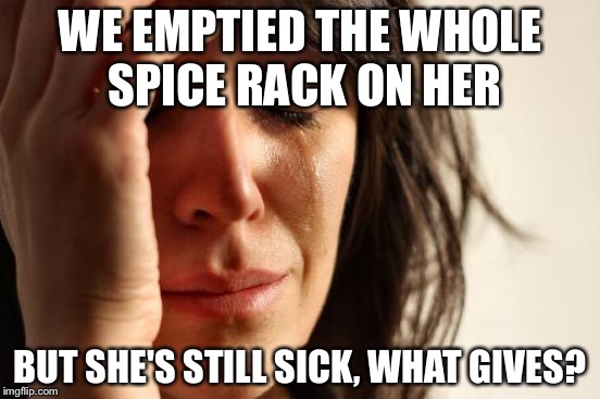 First World Problems | WE EMPTIED THE WHOLE SPICE RACK ON HER BUT SHE'S STILL SICK, WHAT GIVES? | image tagged in memes,first world problems | made w/ Imgflip meme maker