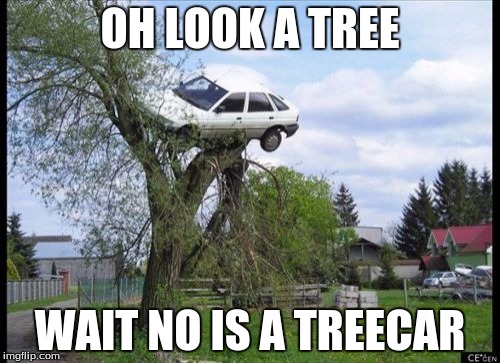 Secure Parking | OH LOOK A TREE WAIT NO IS A TREECAR | image tagged in memes,secure parking | made w/ Imgflip meme maker