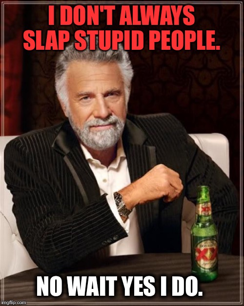 The Most Interesting Man In The World | I DON'T ALWAYS SLAP STUPID PEOPLE. NO WAIT YES I DO. | image tagged in memes,the most interesting man in the world | made w/ Imgflip meme maker