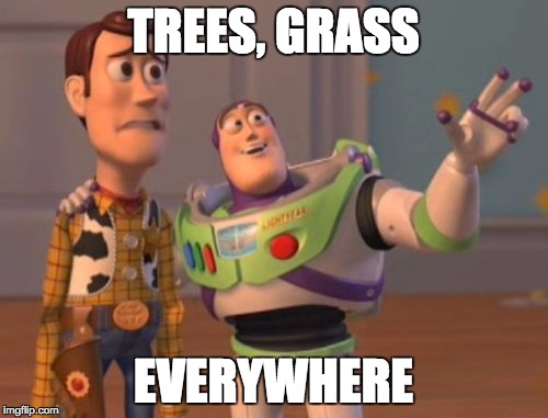 X, X Everywhere Meme | TREES, GRASS EVERYWHERE | image tagged in memes,x x everywhere | made w/ Imgflip meme maker