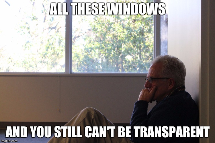 That moment when... | ALL THESE WINDOWS AND YOU STILL CAN'T BE TRANSPARENT | image tagged in that moment when | made w/ Imgflip meme maker