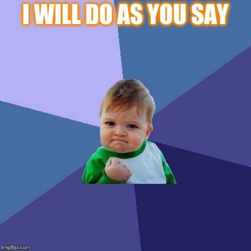 Success Kid Meme | I WILL DO AS YOU SAY | image tagged in memes,success kid | made w/ Imgflip meme maker