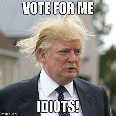 Donald Trump | VOTE FOR ME IDIOTS! | image tagged in donald trump | made w/ Imgflip meme maker