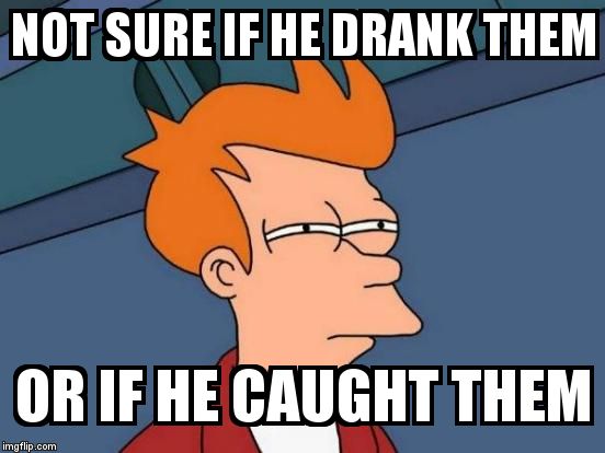 Futurama Fry Meme | NOT SURE IF HE DRANK THEM OR IF HE CAUGHT THEM | image tagged in memes,futurama fry | made w/ Imgflip meme maker