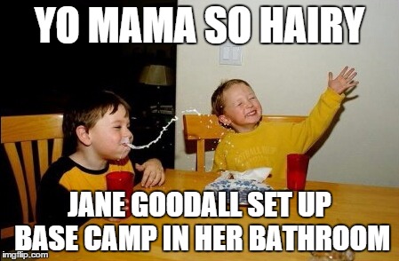 I don't know if anyone will get this. But I like the joke, so... | YO MAMA SO HAIRY JANE GOODALL SET UP BASE CAMP IN HER BATHROOM | image tagged in memes,yo mamas so fat,jane goodall,inferno390 | made w/ Imgflip meme maker